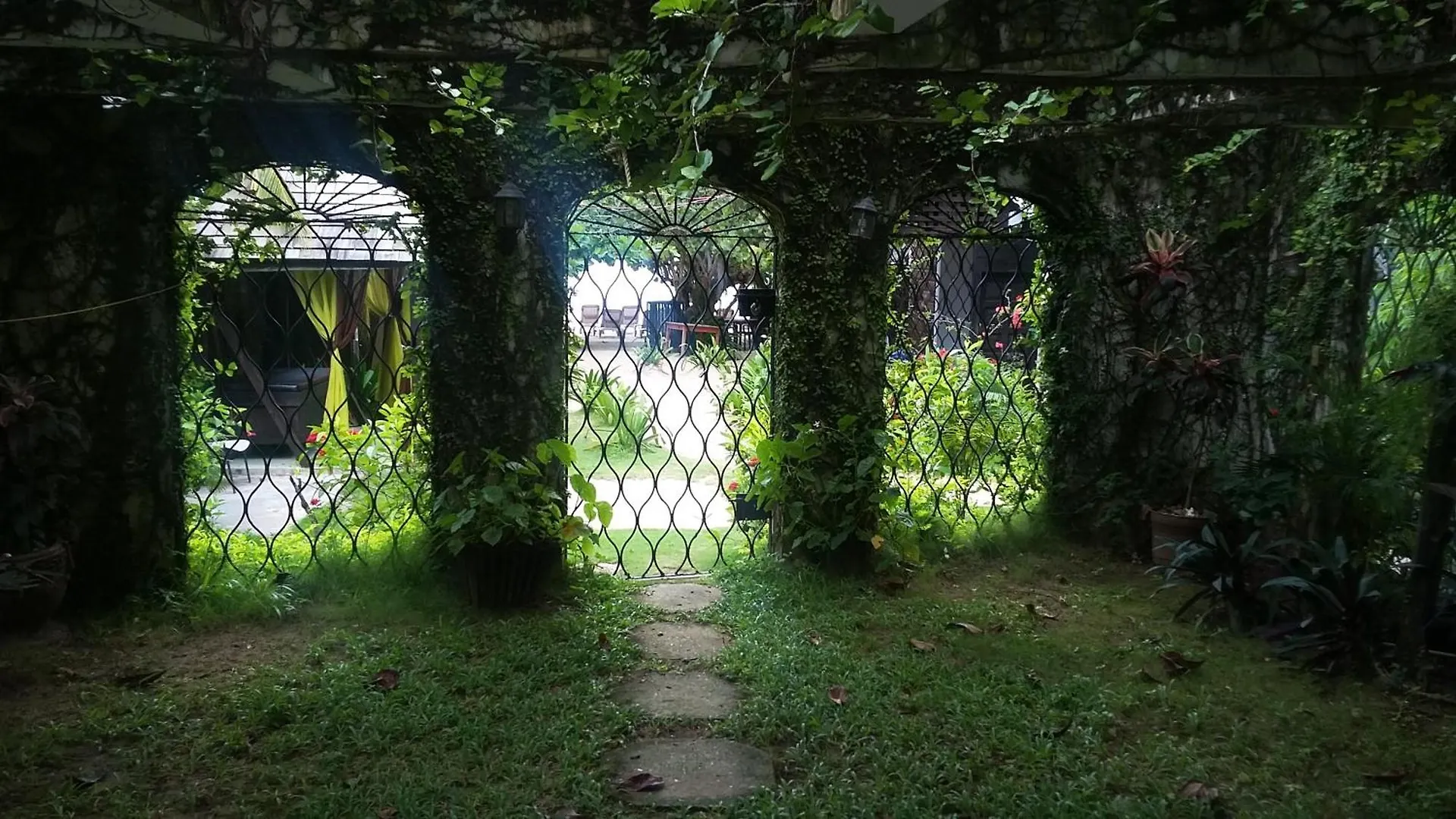 Firefly Beach Cottages Negril