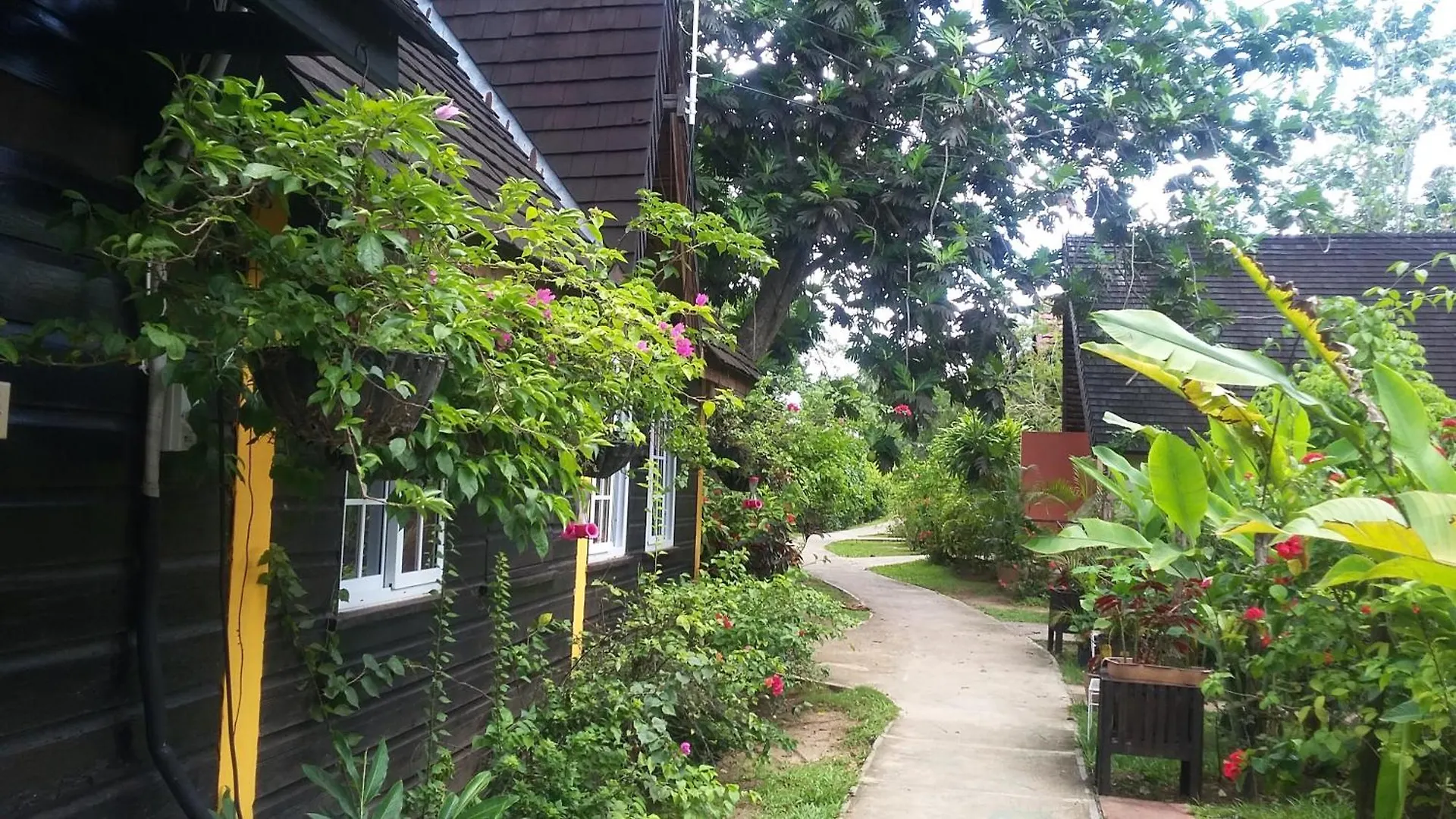 Firefly Beach Cottages Negril
