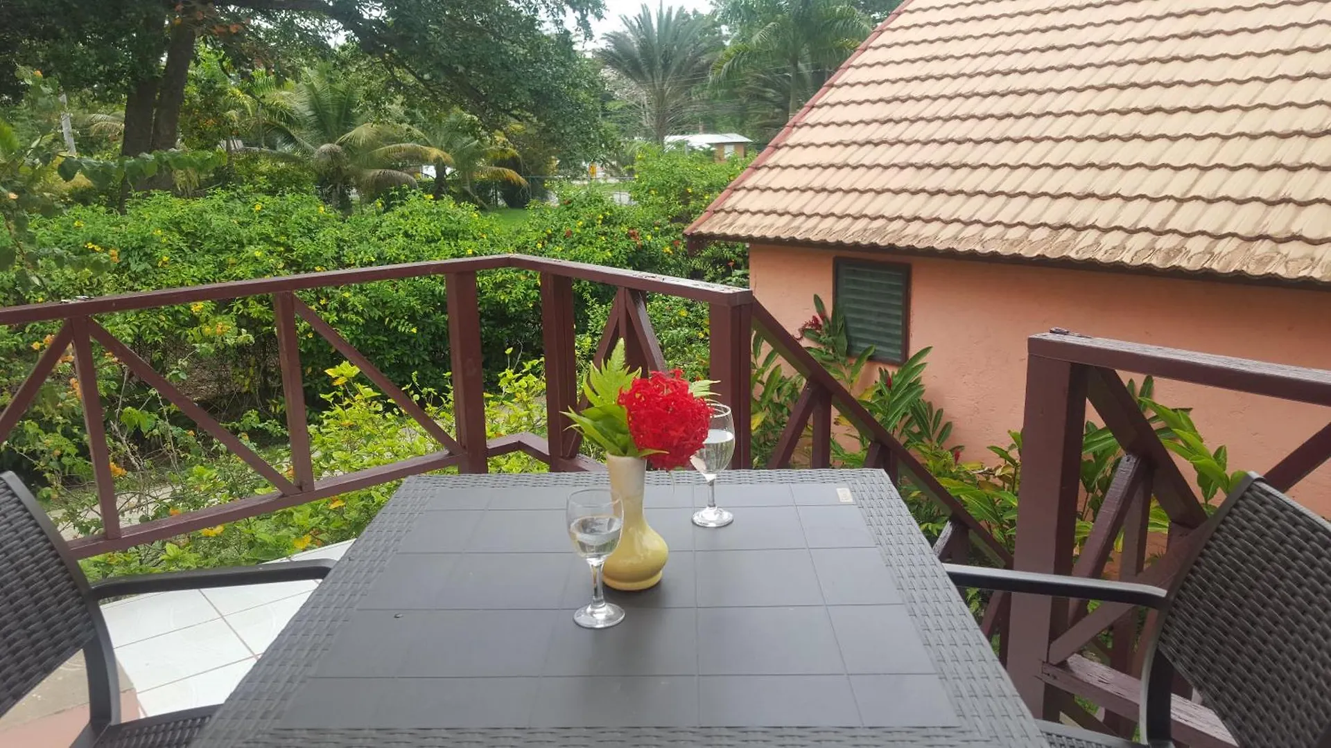 Firefly Beach Cottages Negril Hotel
